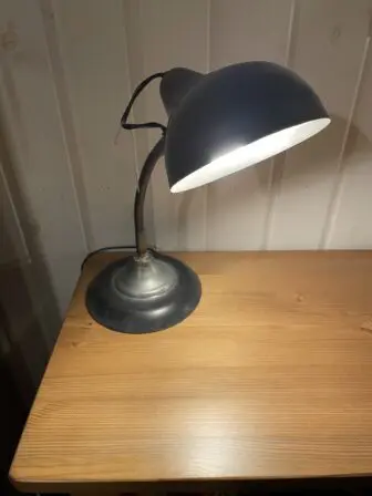 Industriële buigzame lamp