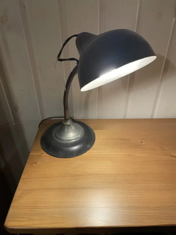 Industriële buigzame lamp